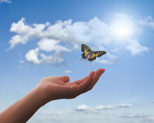 Symbolism of Butterfly